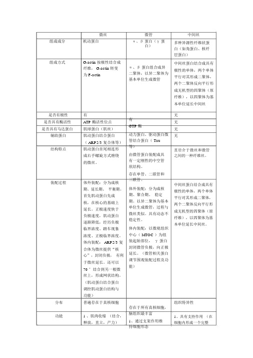 微丝微管中间丝比较