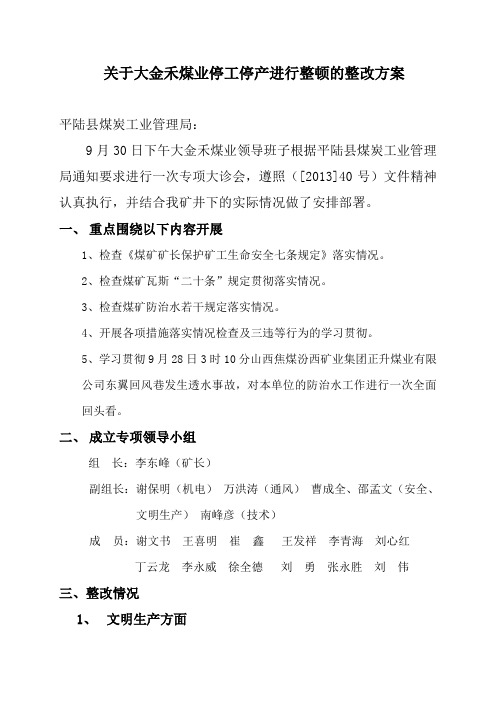 关于大金禾煤业停工停产进行整顿的整改方案