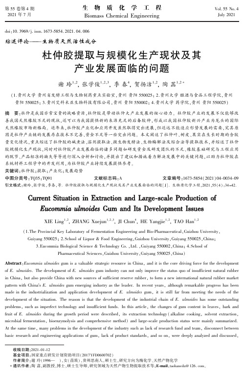 杜仲胶提取与规模化生产现状及其产业发展面临的问题