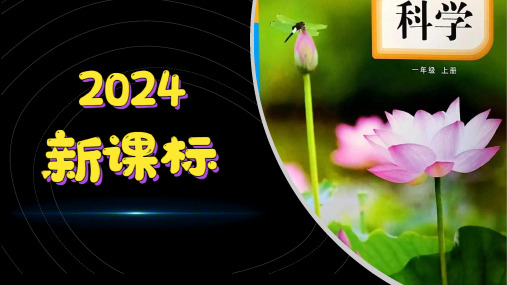 (2024)科学教科版一年级上册-2观察植物 精品课件PPT