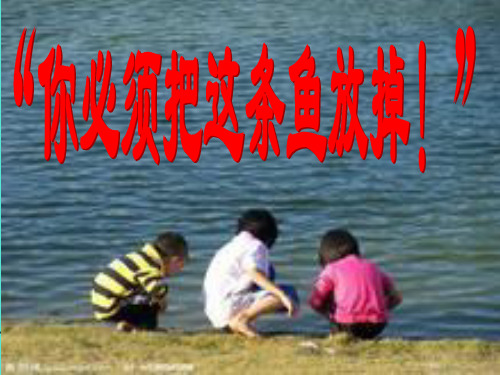 第17课《你必须把这条鱼放掉》课件.ppt