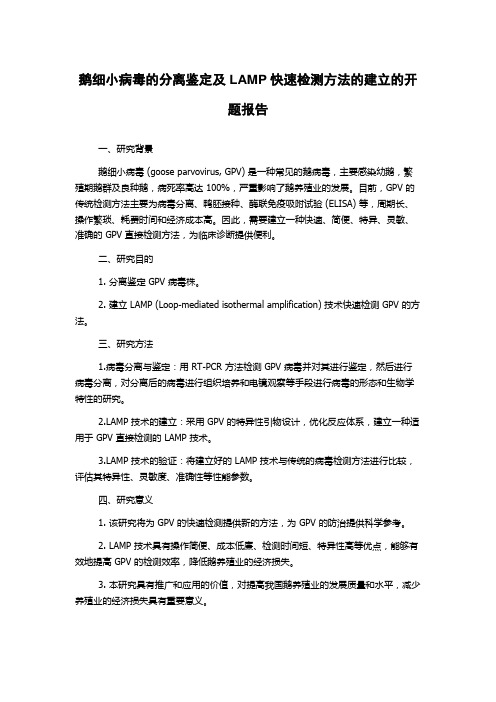 鹅细小病毒的分离鉴定及LAMP快速检测方法的建立的开题报告