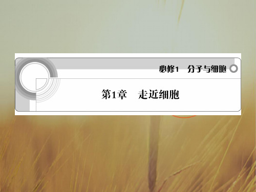 最新-2018高中生物 第1章 走近细胞课件 新必修1 精品 