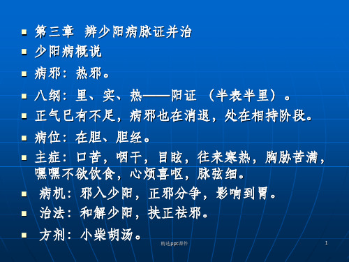 伤寒少阳太阴ppt课件