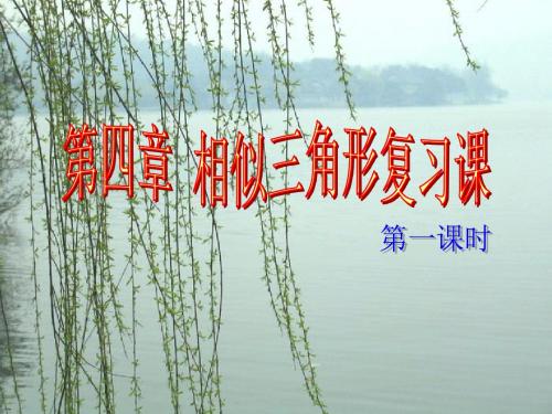 2017年秋季新版浙教版九年级上学期第4章、相似三角形单元复习课件