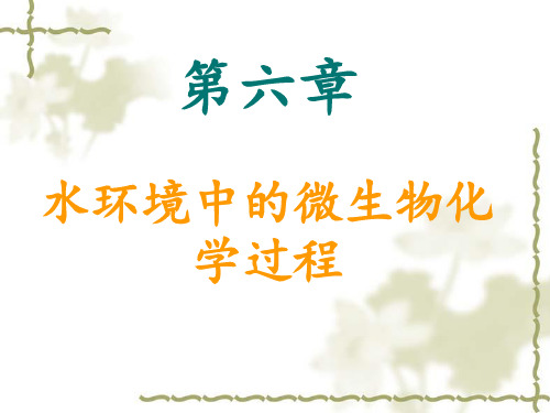 天然水体中的微生物生境