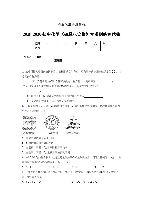 2019-2020学年初中化学《碳及化合物》专项训练模拟测试(含答案) (218)