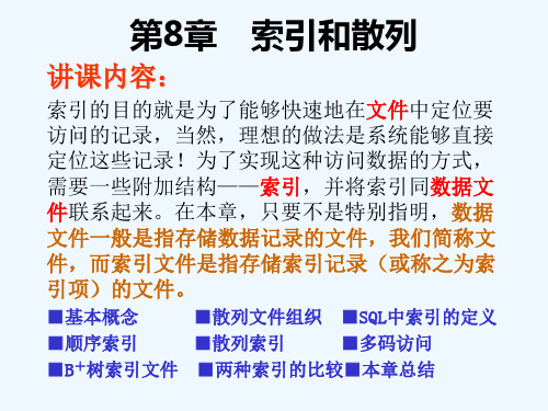 清华大学数据库access课件-第08章：索引和散列资料