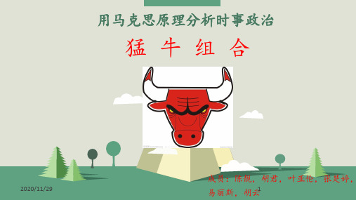用马克思原理分析时事政治 ppt课件