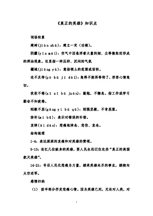 推荐精品语文鲁教版(五四制)小学六年级下册《真正的英雄》知识点