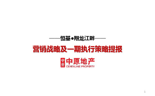 中原2011年重庆恒基翔龙江畔营销战略教案资料
