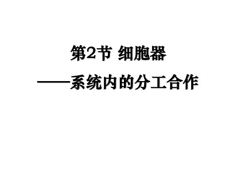 生物：3.2细胞器1