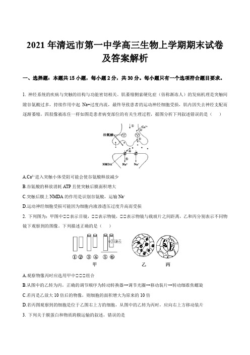 2021年清远市第一中学高三生物上学期期末试卷及答案解析