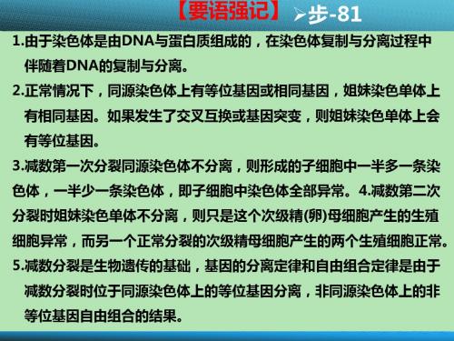 完整版减数有丝分裂区别