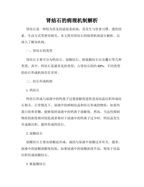 肾结石的病理机制解析