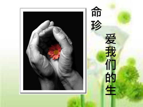 初中道德与法治《珍爱我们的生命(2)》优质教学课件