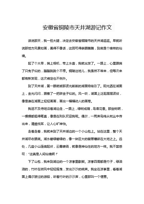 安徽省铜陵市天井湖游记作文