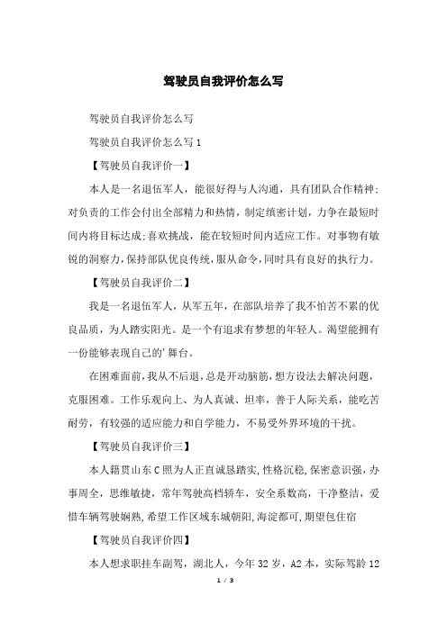 驾驶员自我评价怎么写