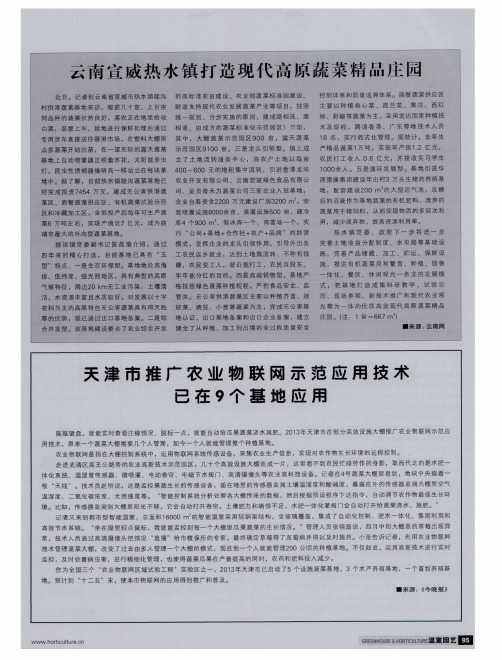 云南宣威热水镇打造现代高原蔬菜精品庄园