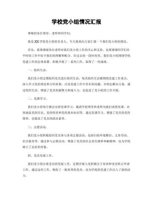 学校党小组情况汇报