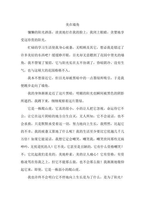 美在墙角-作文