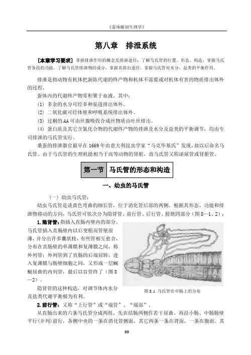 排泄系统