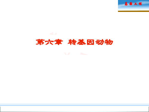第六章 转基因动物