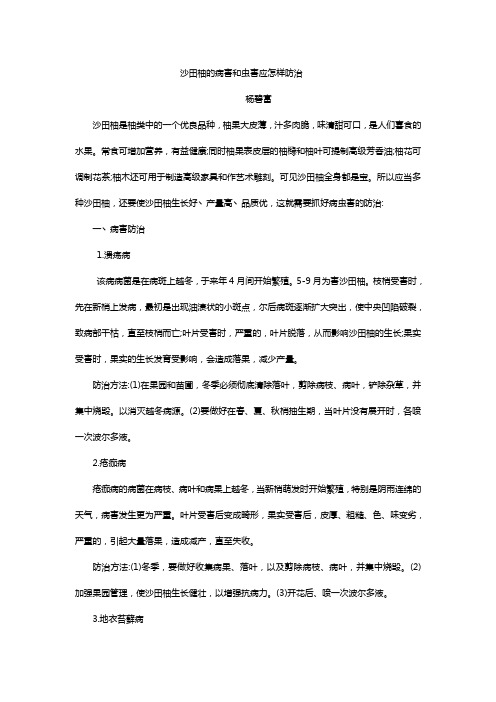 沙田柚的病害和虫害应怎样防治