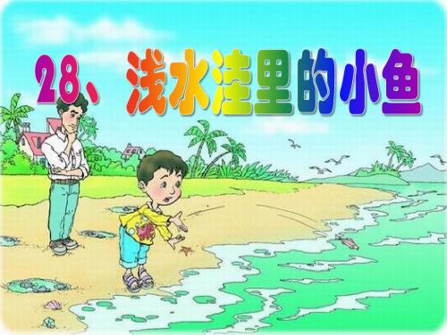 《浅水洼里的小鱼》PPT课件