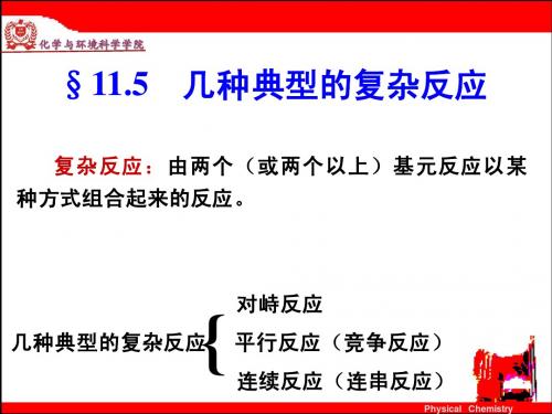 11.5 几种典型的复杂反应