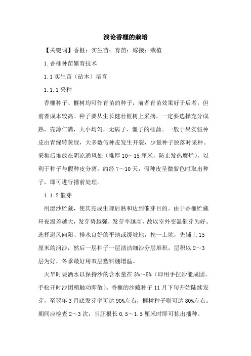 香榧的栽培
