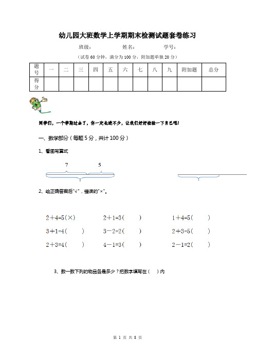 幼儿园大班数学上学期期末检测试题套卷练习