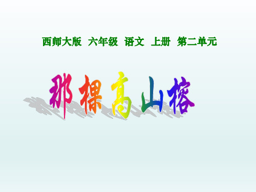 六年级上册语文课件-2.2 那颗高山榕｜西师大版 (共14张PPT)
