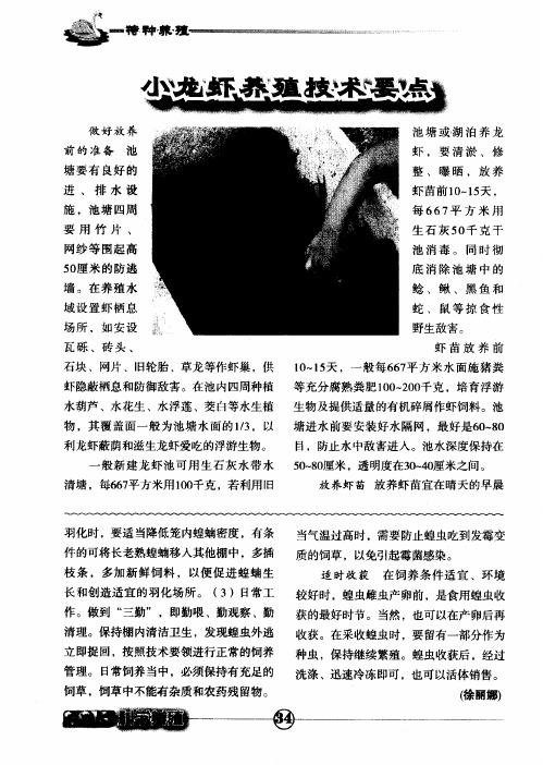 小龙虾养殖技术要点