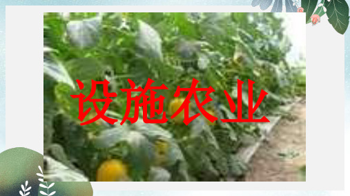 高中生物第2章生物科学与农业2.6设施农业课件新人教版选修2
