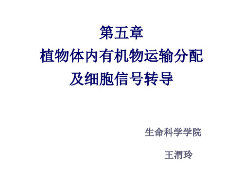 第五章 有机物的运输2007