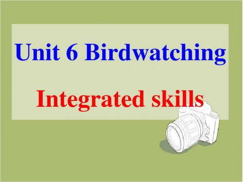 牛津译林版8A Unit6 Birdwatching Integrated skills课件 (1)