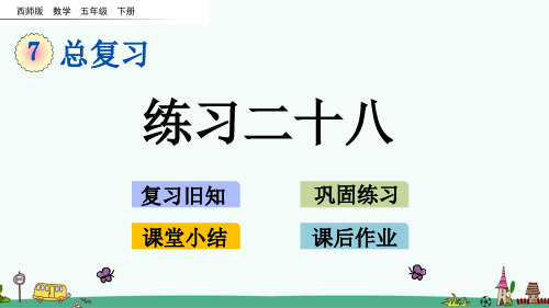 西师大版五年级数学下册《练习二十八》PPT课件