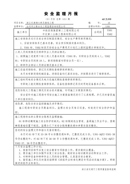 01监理办安全月报3月份