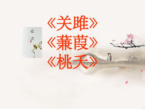 《诗经》关雎蒹葭桃夭ppt