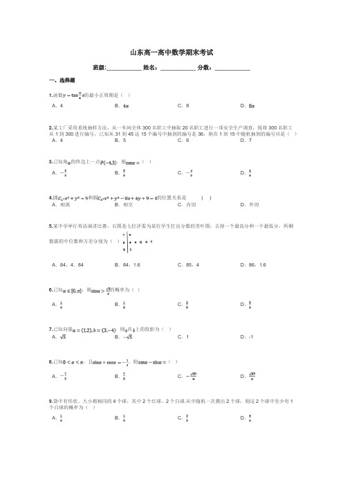 山东高一高中数学期末考试带答案解析
