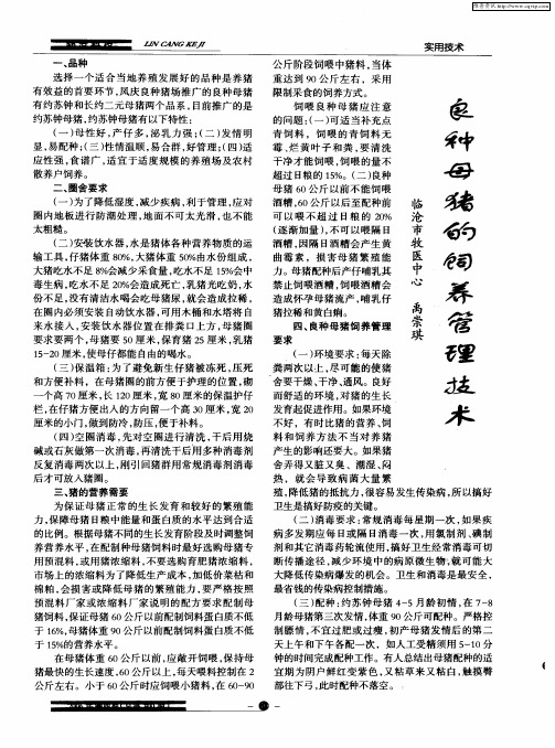 良种母猪的饲养管理技术