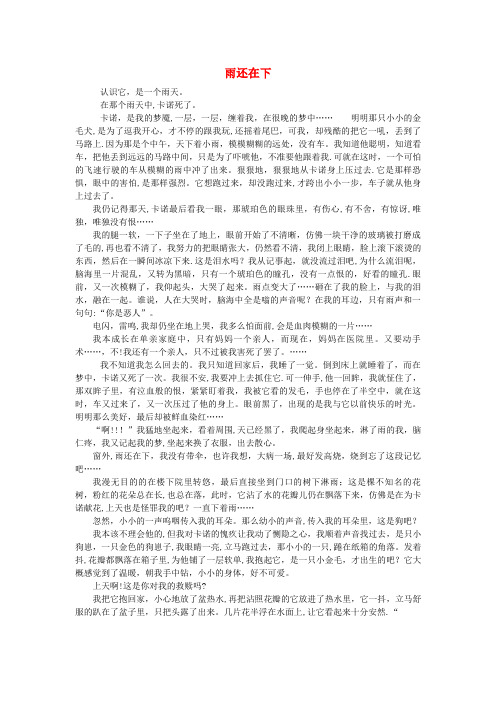 钦州市三小六年级语文(楚才杯)《雨还在下》获奖作文5