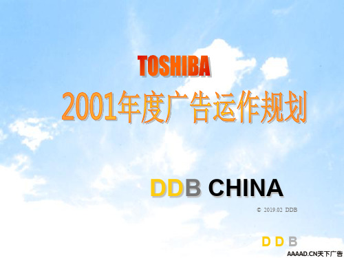 恒美-TOSHIBA广告运作规划-50页精选文档