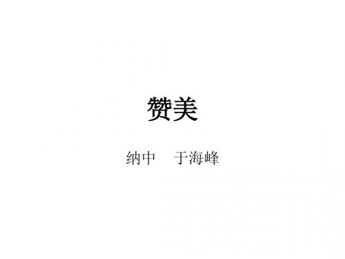 赞美