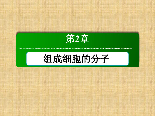 【红对勾】高中生物 2-3 遗传信息的携带者 核酸讲义手册名师课件 新人教版必修1