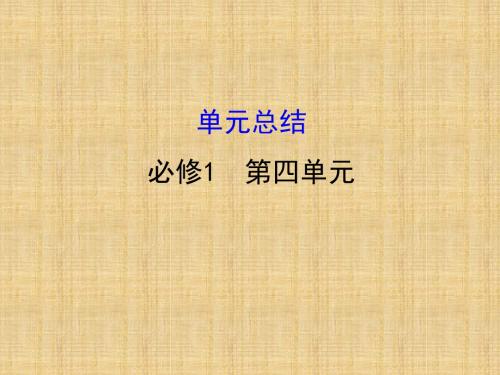 高考政治一轮复习1.4发展社会主义市抄济单元总结名师课件新人教版必修