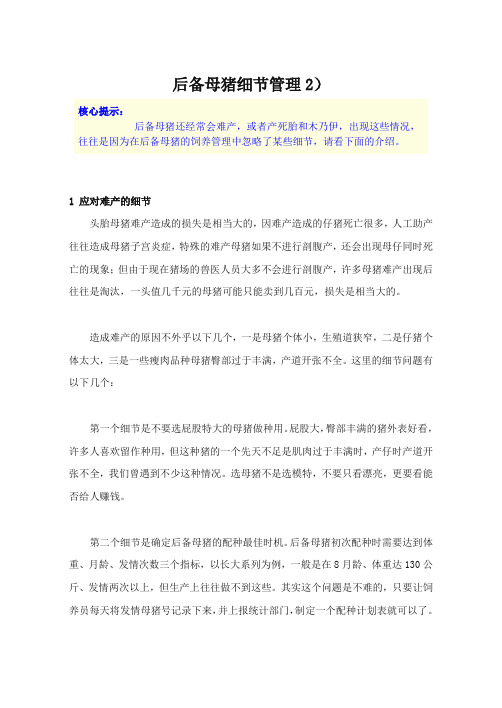 后备母猪细节管理2