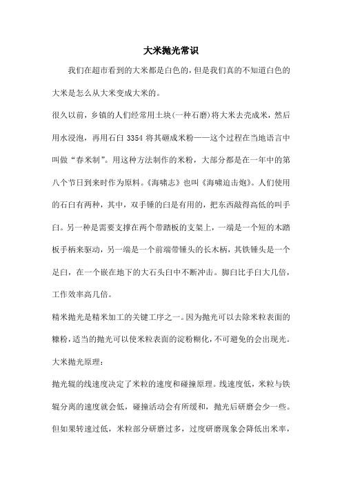大米抛光常识