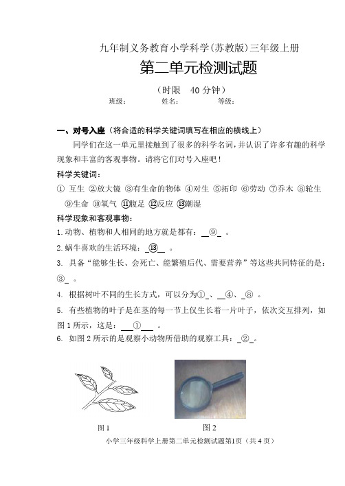 苏教版小学科学三上第二单元带答案